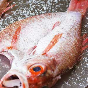 のどぐろ 熟成一汐（ノドグロ、のど黒、アカムツ）