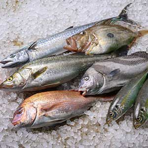 天然鮮魚 海産物の詰合わせ