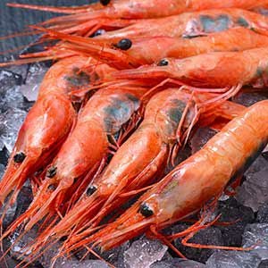 天然甘海老（あまえび）