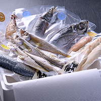 一夜干し詰め合わせ