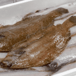 一夜干し「笹カレイ」