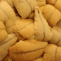 丹後「赤うに」