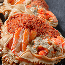 セイコガニ（香箱ガニ）