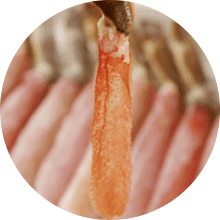 カニシャブ（ポーション）セット