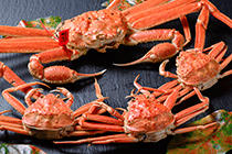 プレミアムズワイガニ 魚政BLACK セイコガニ夫婦セット