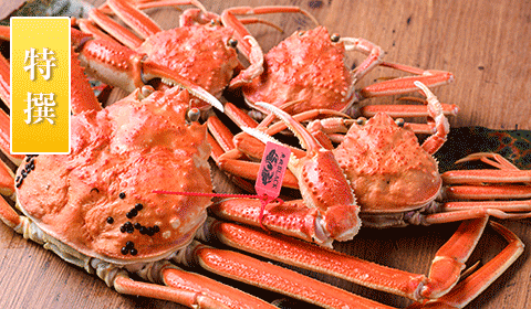 プレミアムズワイガニ 魚政BLACK セイコガニ夫婦セット