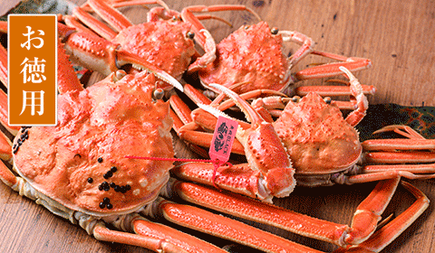 茹で プレミアムズワイガニ 魚政BLACK（松葉ガニ・越前ガニ）お徳用