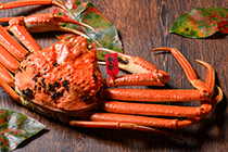 茹で プレミアムズワイガニ 魚政BLACK（松葉ガニ・越前ガニ）