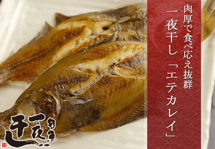 エテカレイ 一夜干し
