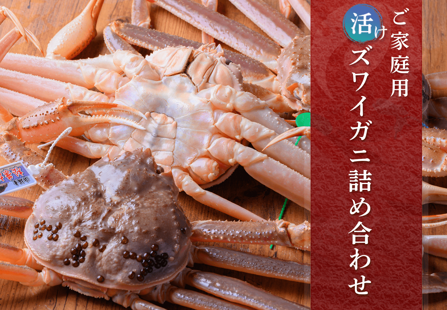 ご家庭用 活けズワイガニ詰め合わせ