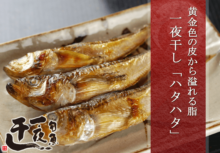 ハタハタ 一夜干し