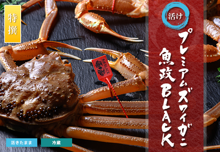 【特撰】活 プレミアムズワイガニ 魚政BLACK