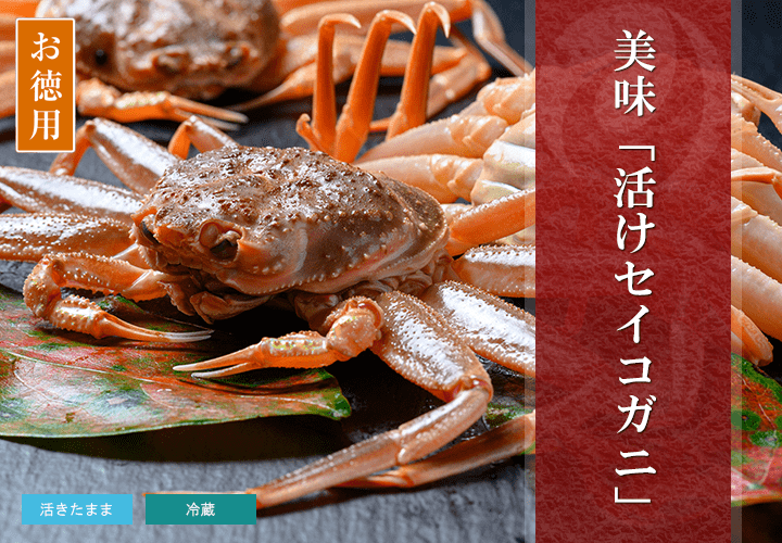 【お徳用】活 セイコガニ（香箱ガニ） 5杯セット〈お買い得ハーフメガ〉