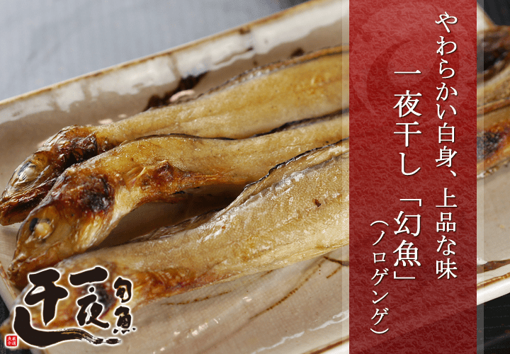幻魚（ノロゲンゲ） 一夜干し