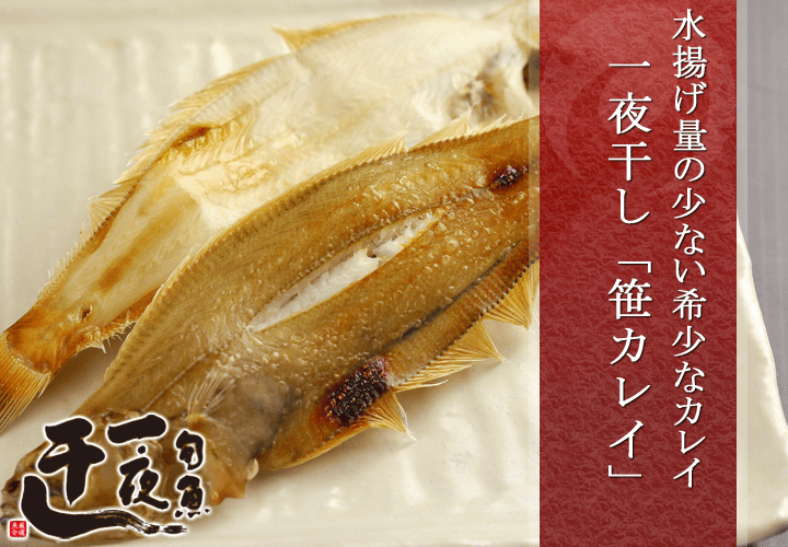 笹カレイ 一夜干し（ササカレイ）