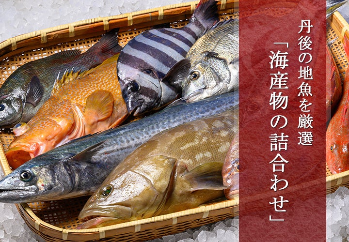 天然鮮魚 海産物の詰合わせ