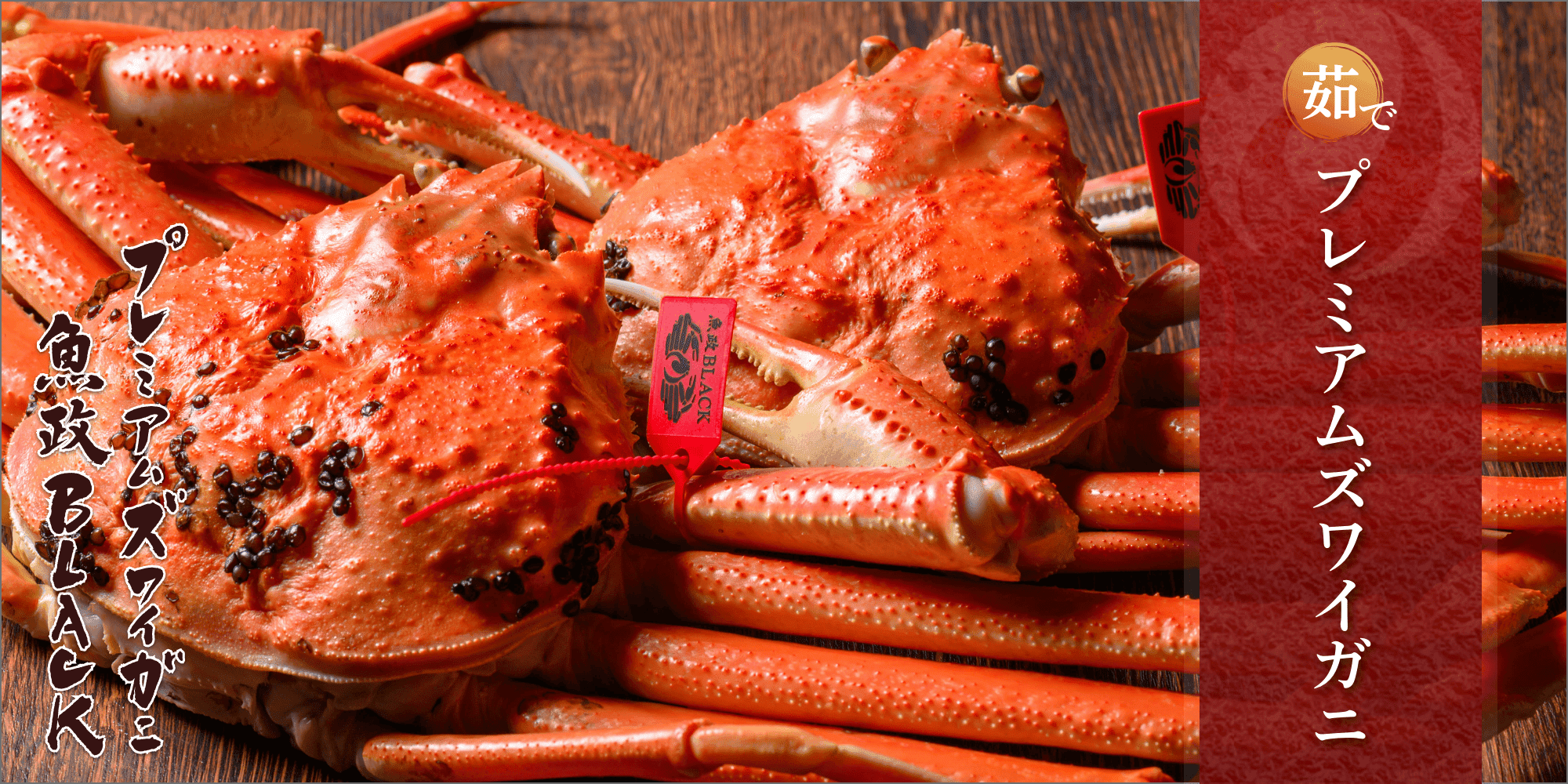 茹で プレミアムズワイガニ 魚政BLACK（松葉ガニ・越前ガニ）
