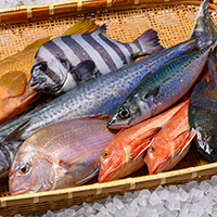 海産物の詰合わせ