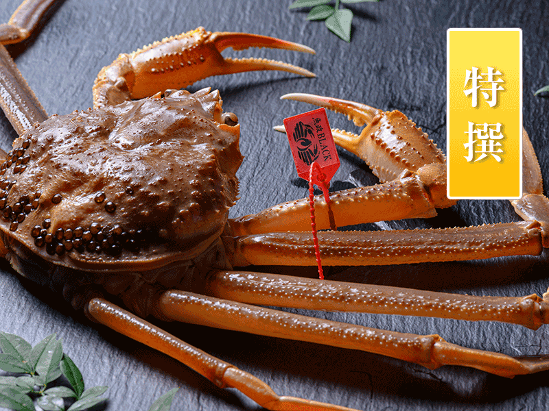 活け プレミアムズワイガニ 魚政BLACK（松葉ガニ・越前ガニ）