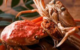 セイコガニの魅力