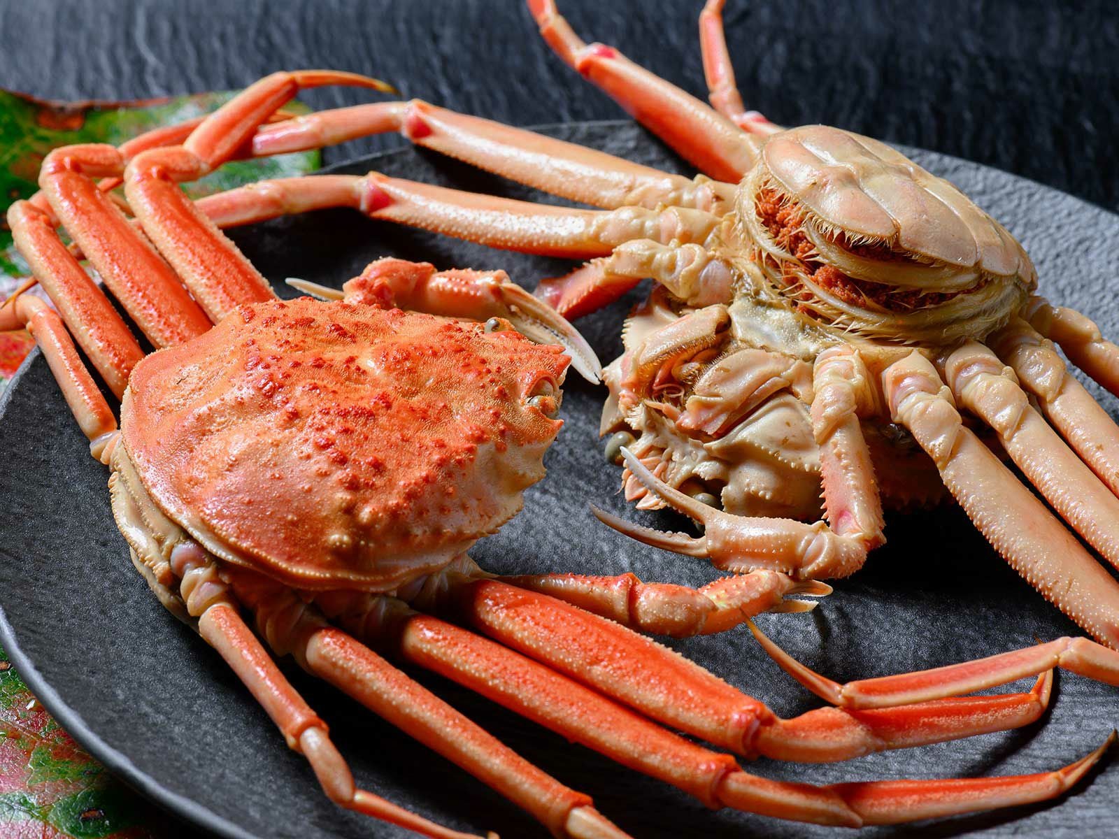 お徳用】急速冷凍 茹で セイコガニ（香箱ガニ）特特大サイズ（250g