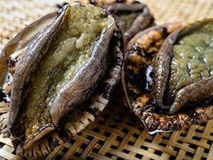 黒あわび 240～270g級 1枚 | 京都丹後 プレミアムズワイガニ（松葉ガニ