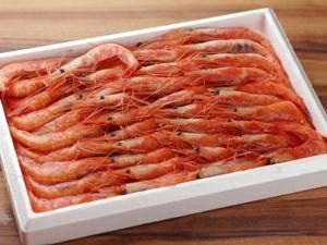 天然甘海老（あまえび） 大サイズ 約30匹入り 1セット | 京都丹後